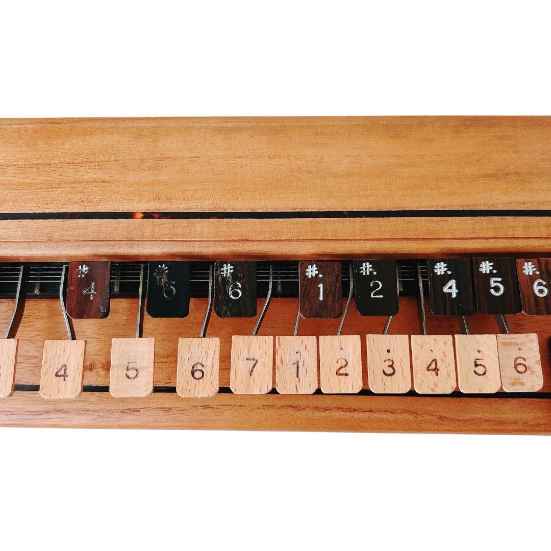 【逸品】 美品 木村流 高級 電気大正琴 ゆずりは 大正琴 ハードケース ケース