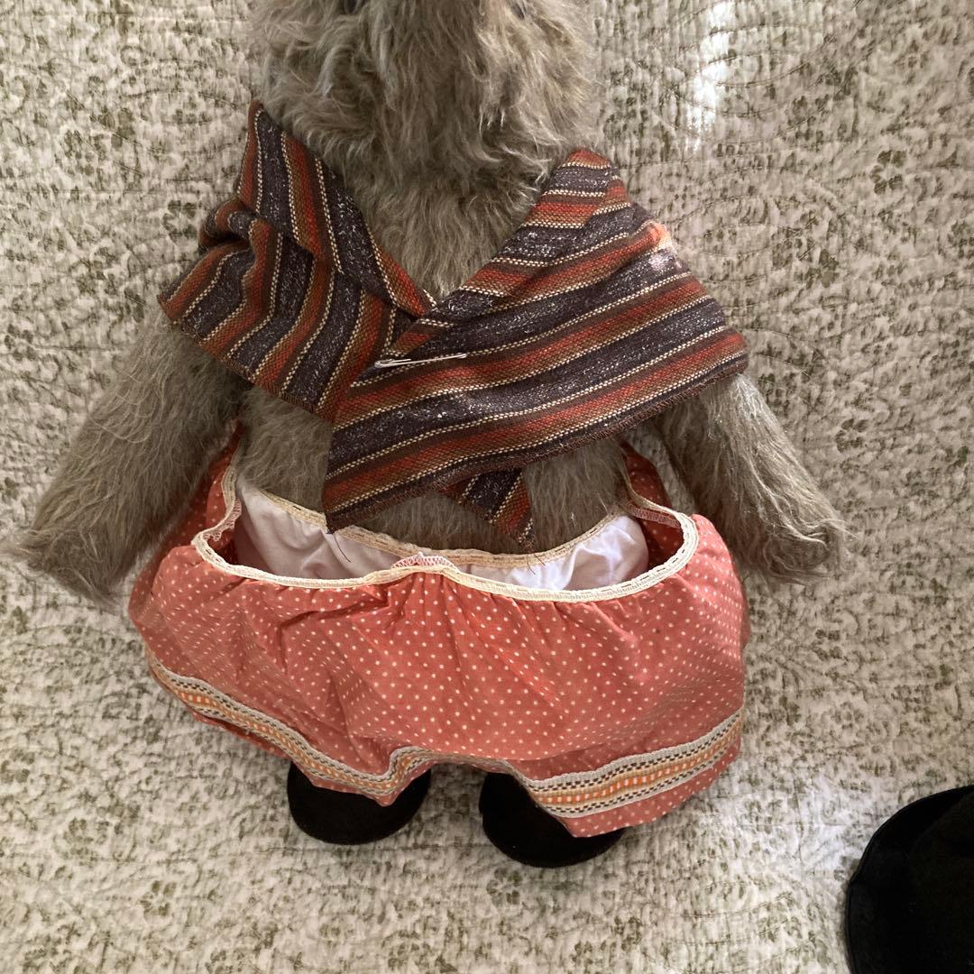 アンティーク　パディントン　ルーシおばさん