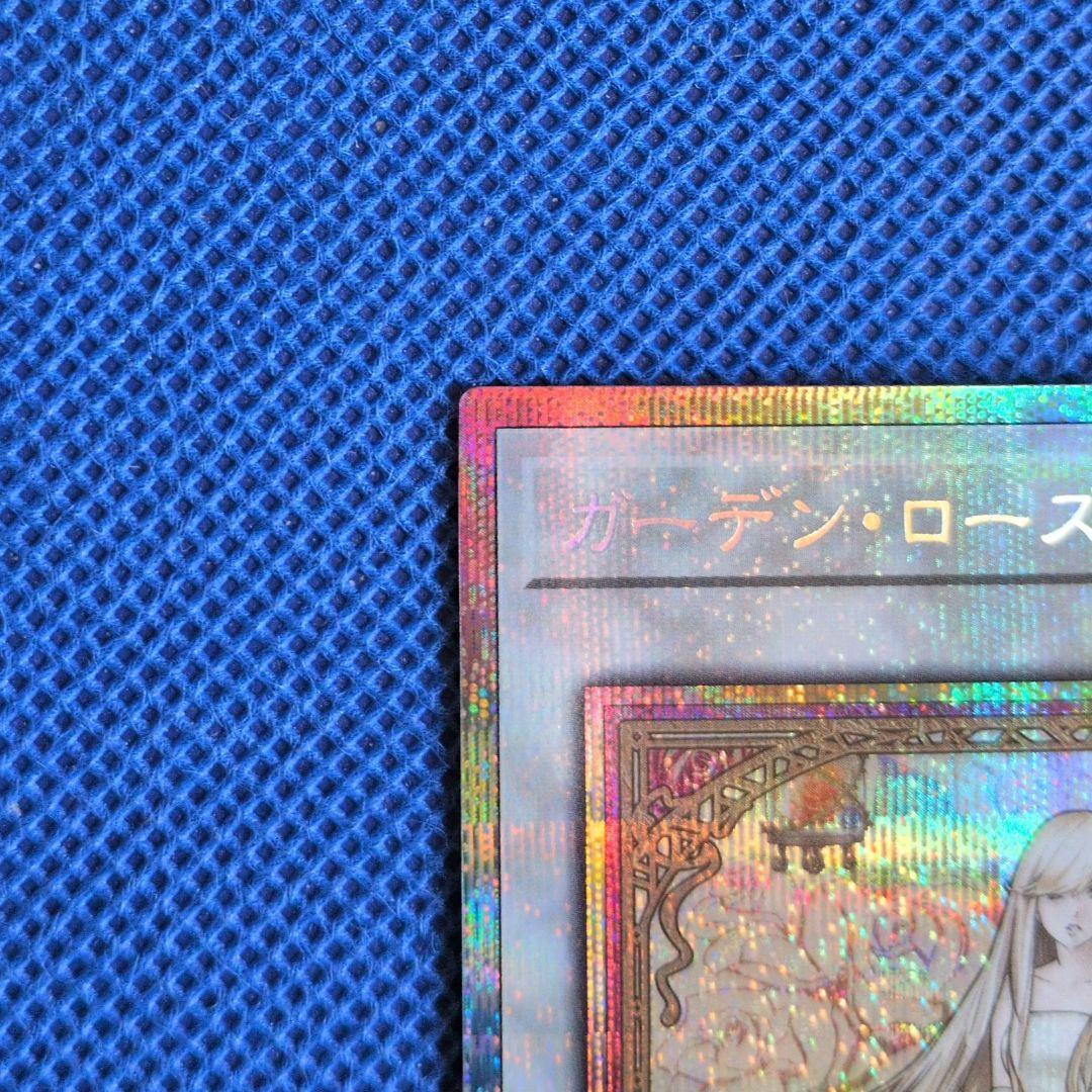 ガーデン・ローズ・メイデン ガーデンローズメイデン プリズマ 絵違い 日版