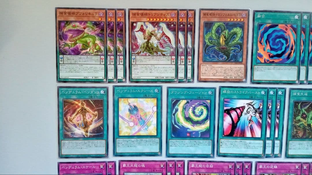 遊戯王 オッドアイズ EM 捕食植物 デッキパーツ 146枚