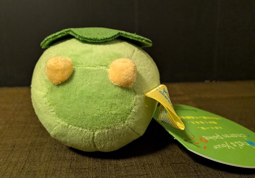 ☆スボミー クリップマスコット ポケモンセンター 紙タグ付き 未使用