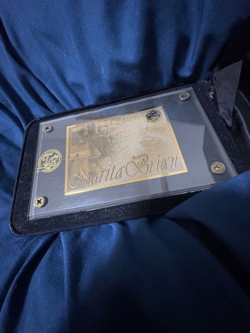 貴重　ナリタブライアン　300枚限定　レア　記念　おまけ付き