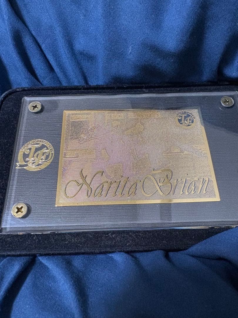 貴重　ナリタブライアン　300枚限定　レア　記念　おまけ付き