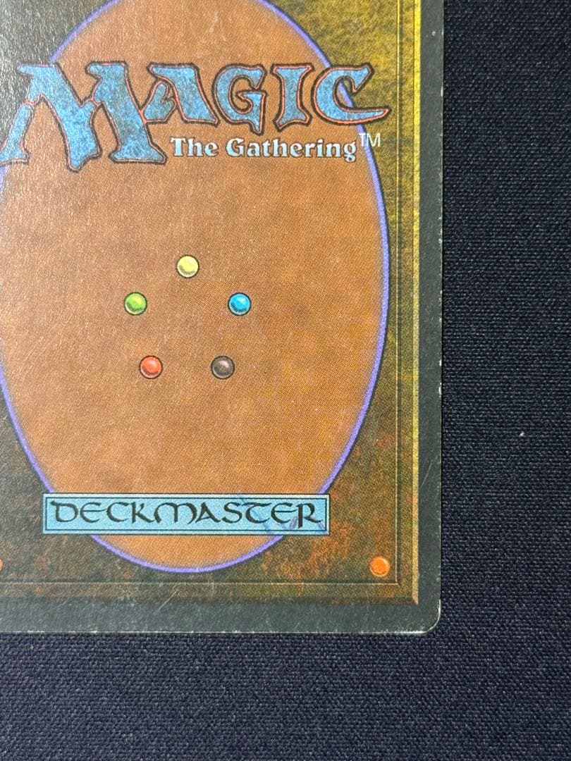 MTG Tropical  フランス語 黒枠 FBB インクド②