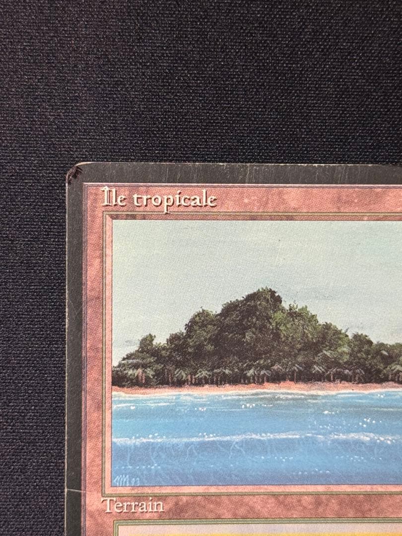 MTG Tropical  フランス語 黒枠 FBB インクド②