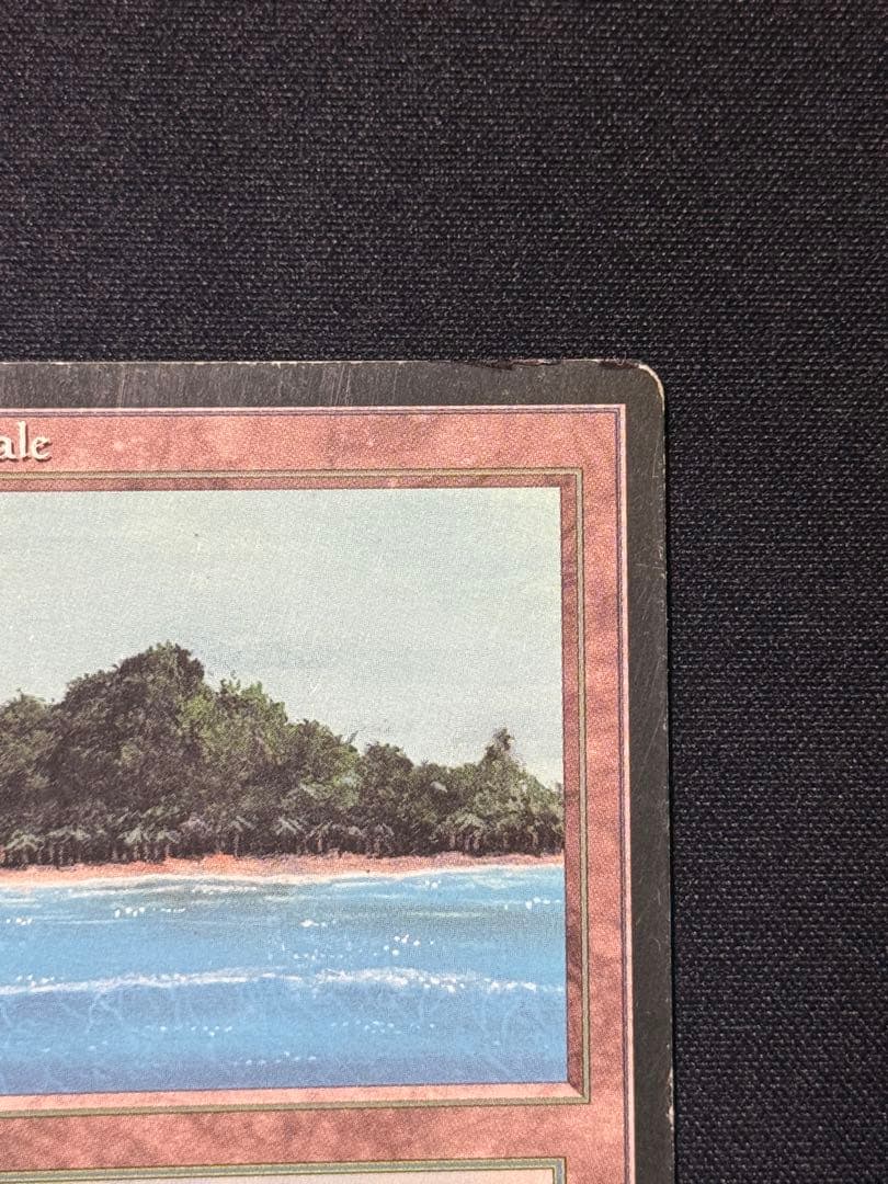 MTG Tropical  フランス語 黒枠 FBB インクド②