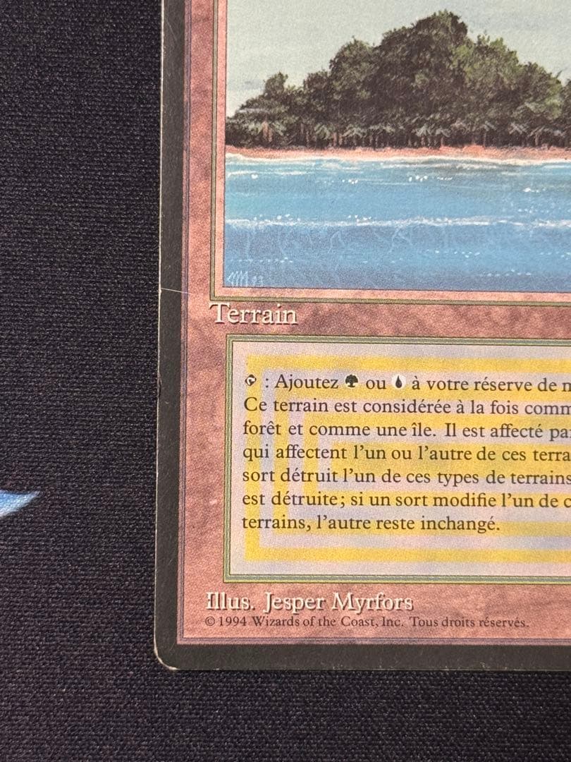 MTG Tropical  フランス語 黒枠 FBB インクド②