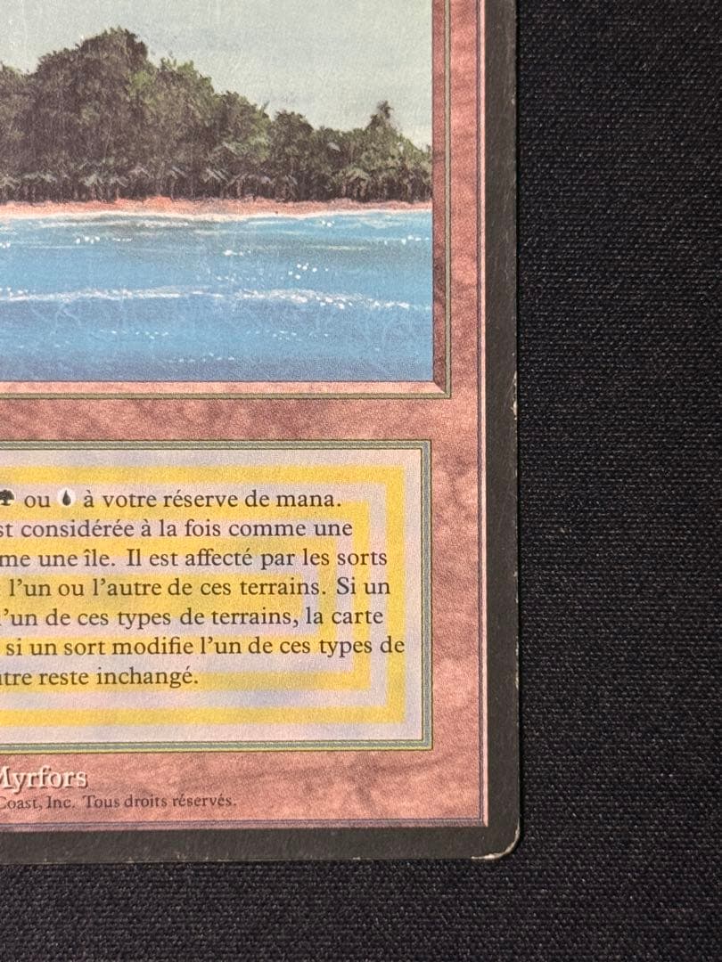 MTG Tropical  フランス語 黒枠 FBB インクド②