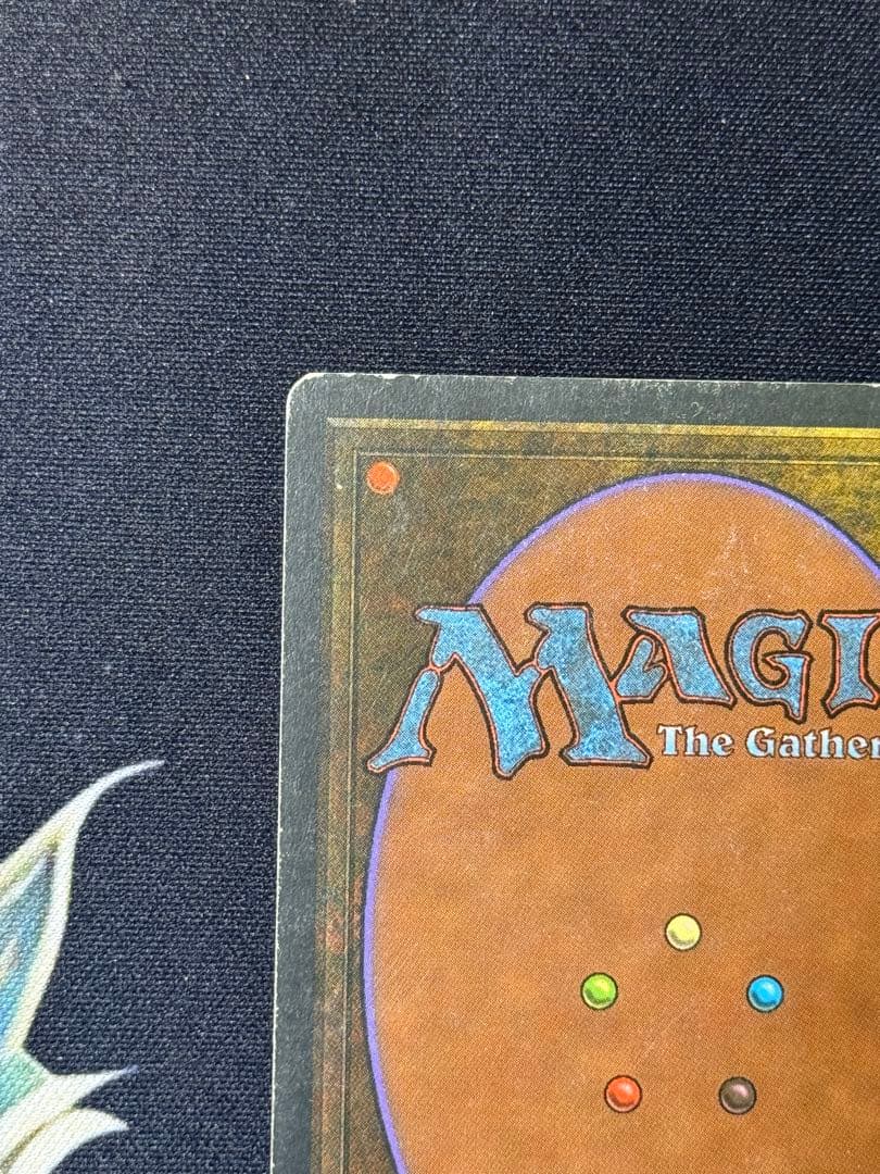 MTG Tropical  フランス語 黒枠 FBB インクド②