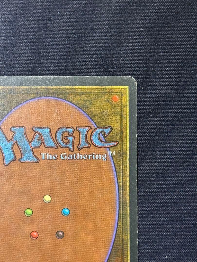 MTG Tropical  フランス語 黒枠 FBB インクド②