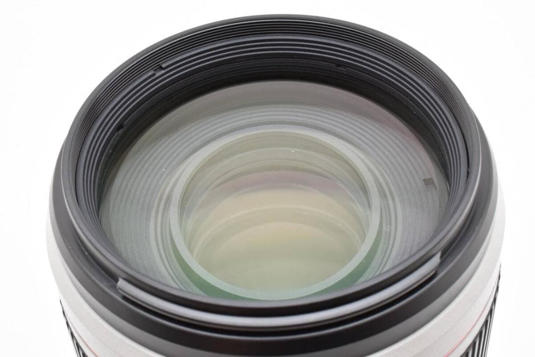 ★極上品★ EF100-400mm F4.5-5.6 L IS II USM