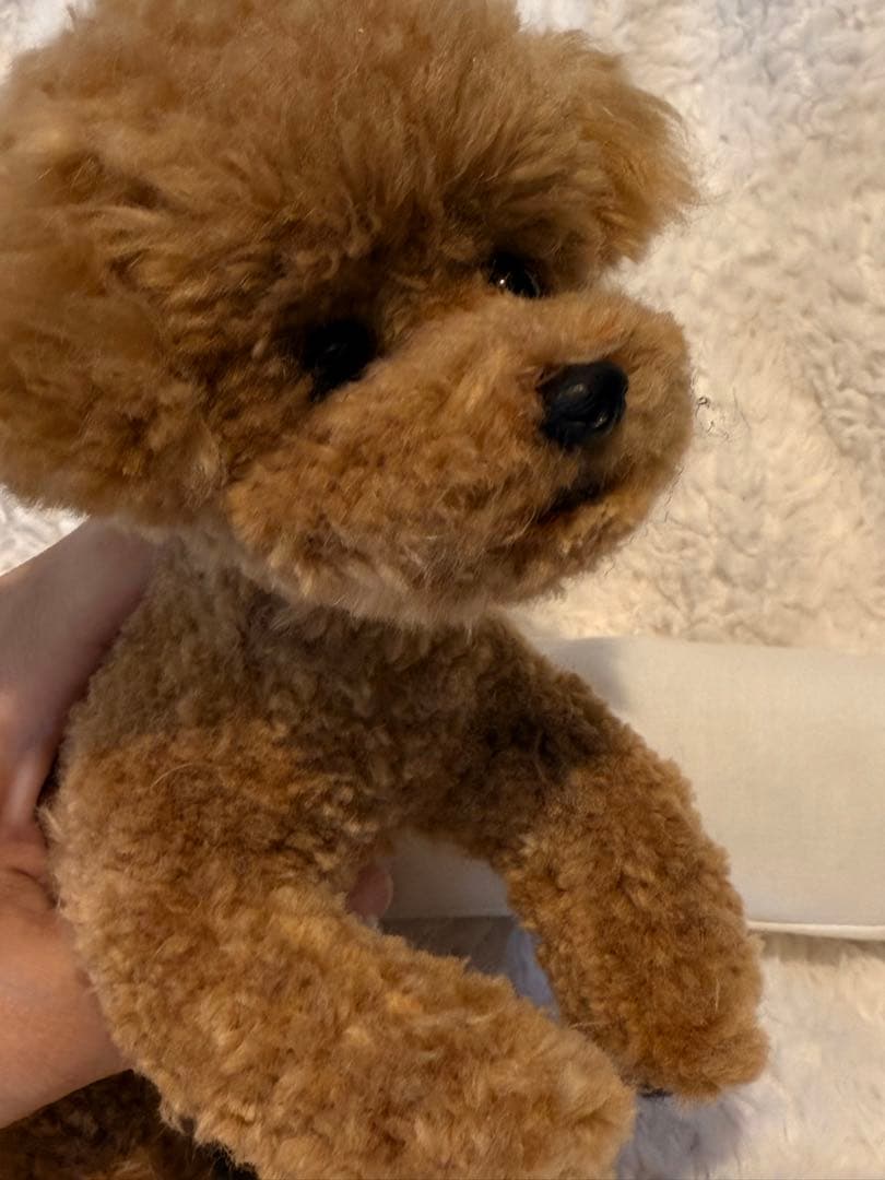 ★ハンドメイド★ トイプードル ぬいぐるみ
