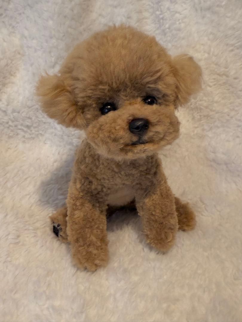 ★ハンドメイド★ トイプードル ぬいぐるみ
