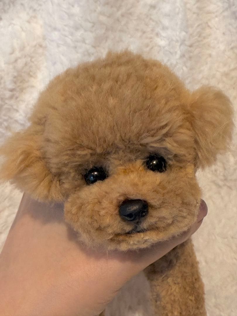 ★ハンドメイド★ トイプードル ぬいぐるみ