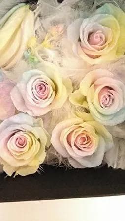 Heart no Yume プリザーブドフラワー アレンジメント