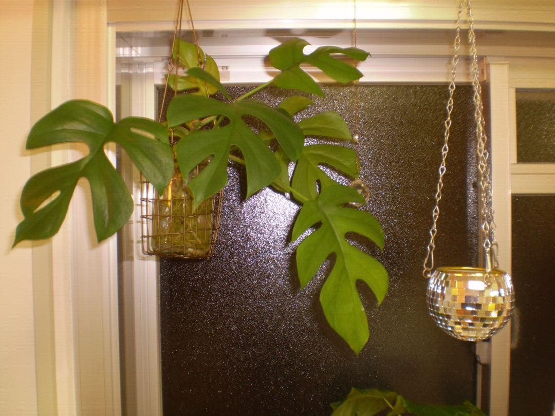 【動作確認済み】OLYMPUS FE-220 本体のみ