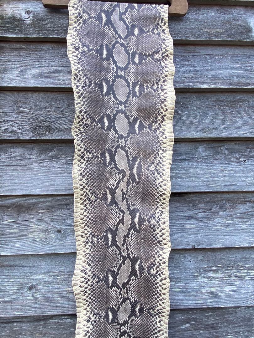 ダイヤモンドパイソン　超特大。316cm 希少　艶消　ヘビ革　⑧