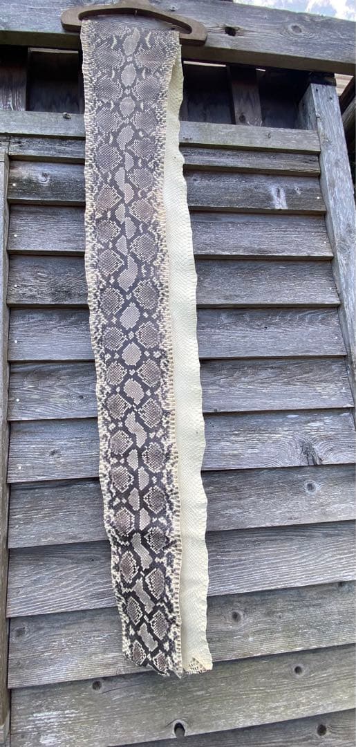 ダイヤモンドパイソン　超特大。316cm 希少　艶消　ヘビ革　⑧