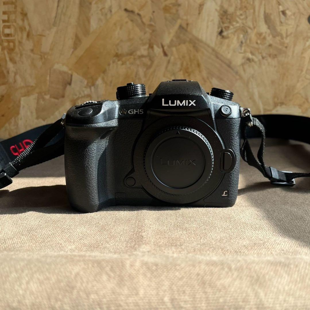 Panasonic LUMIX GH5 ボディ DC-GH5