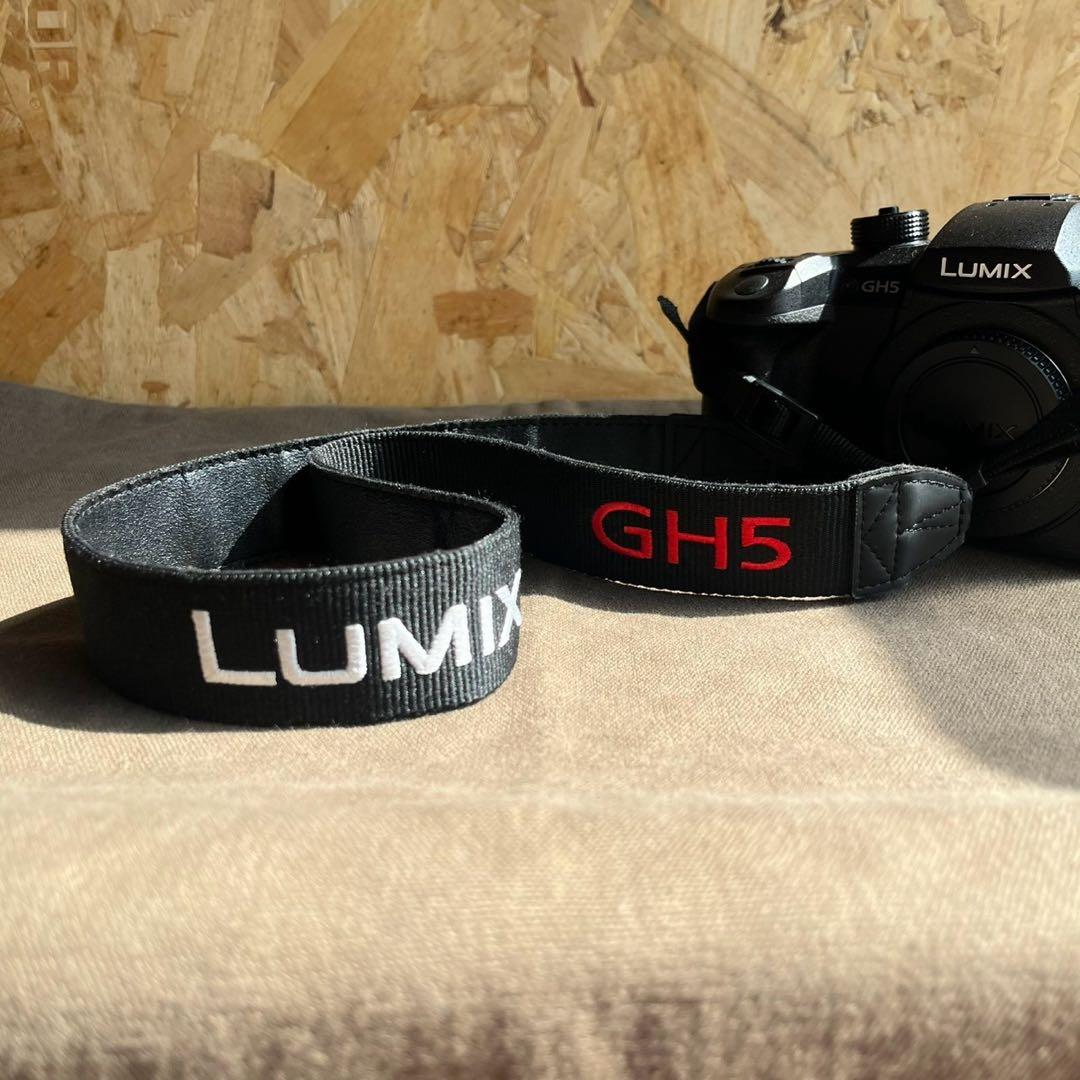 Panasonic LUMIX GH5 ボディ DC-GH5