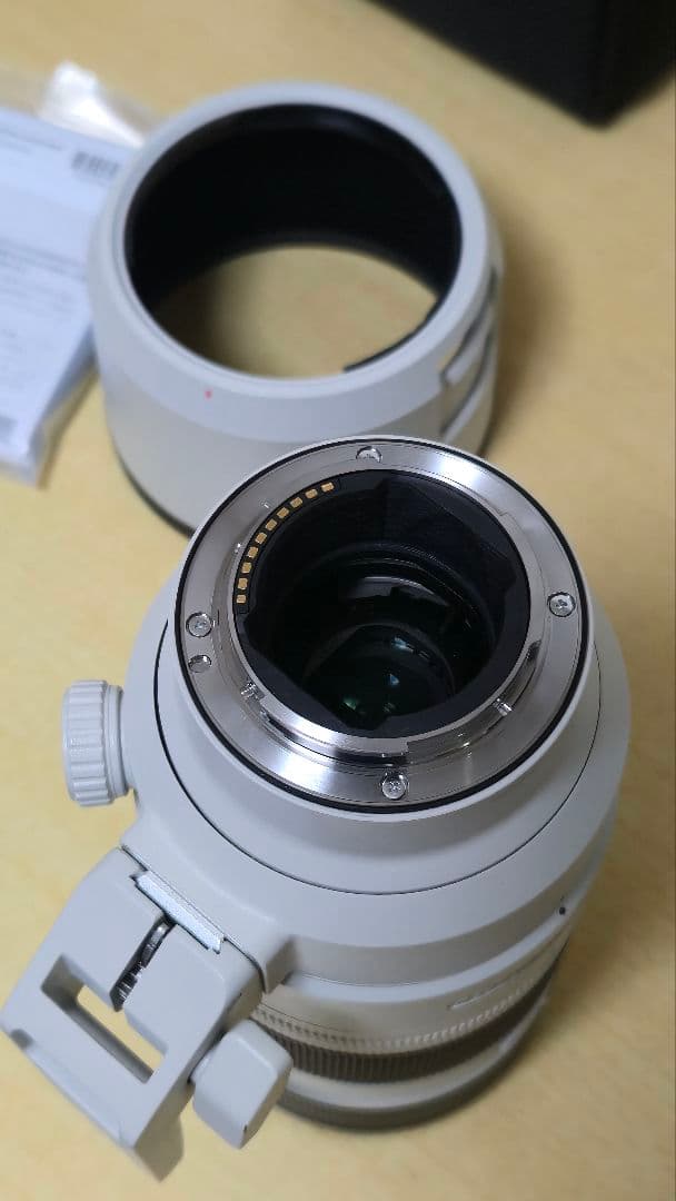 Sony FE70-200mm F2.8 GM OSSⅡ