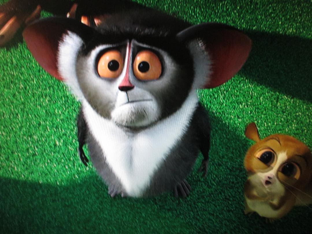 750GB☆パナソニック 2番組同時録画 BDレコーダー DMR-BWT1000