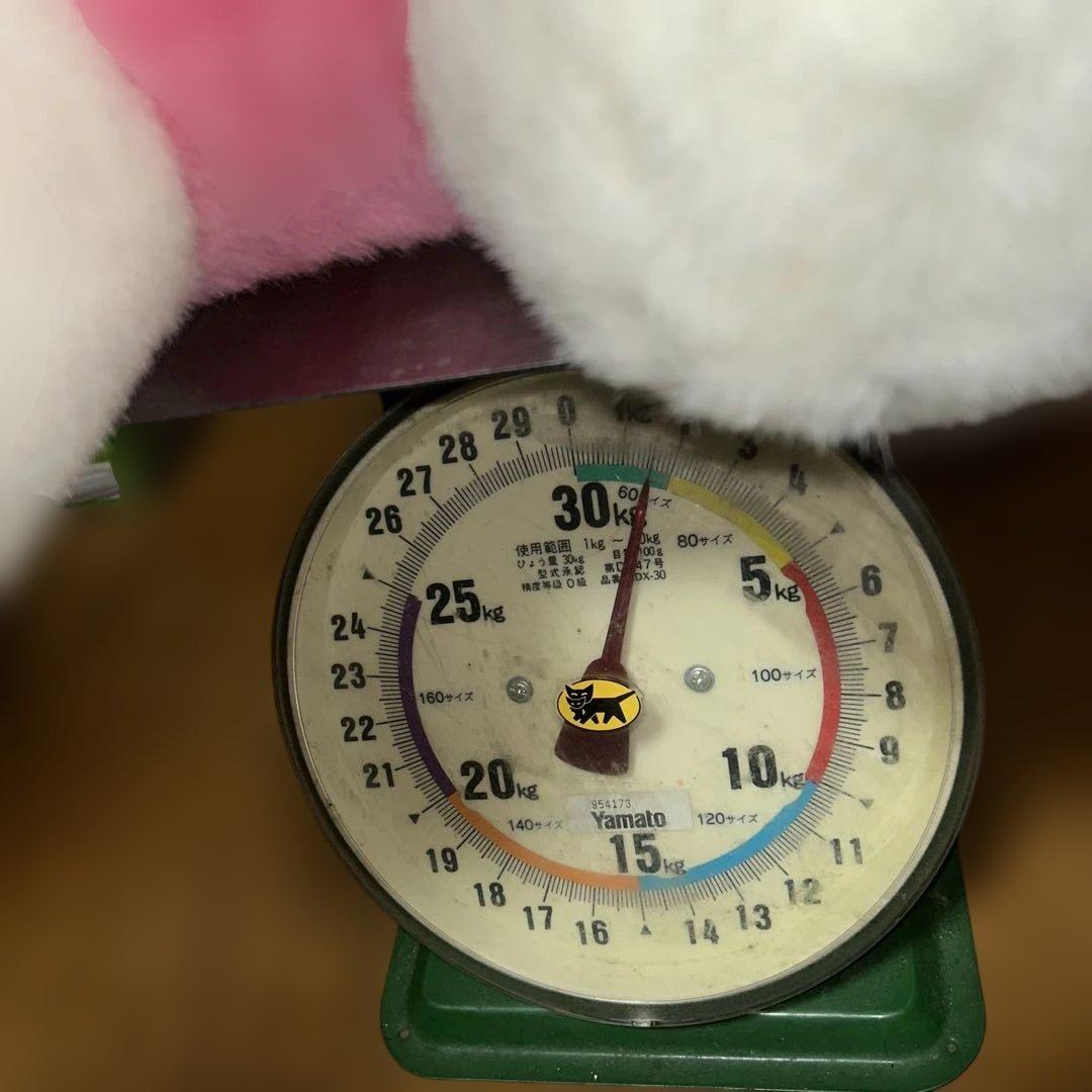 Hello Ｋitty ヌイグルミ、クマリボン 3 Ｌ