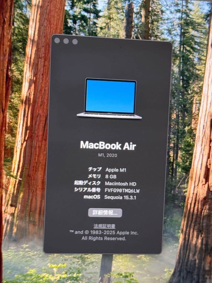 MacBook Air (M1, 2020) 256GB 中古　美品