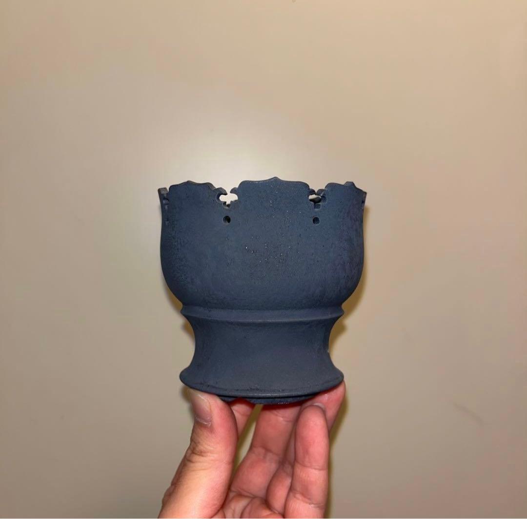 S SIZE 植木鉢 作家鉢 アガベ グラキリス ホリダ チタノタ 白鯨 亀甲竜