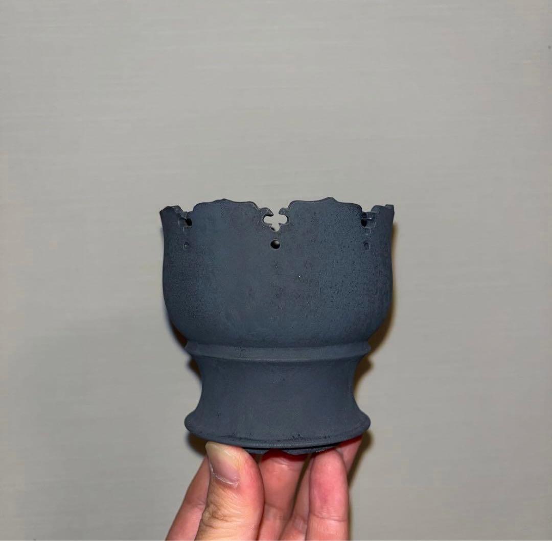 S SIZE 植木鉢 作家鉢 アガベ グラキリス ホリダ チタノタ 白鯨 亀甲竜