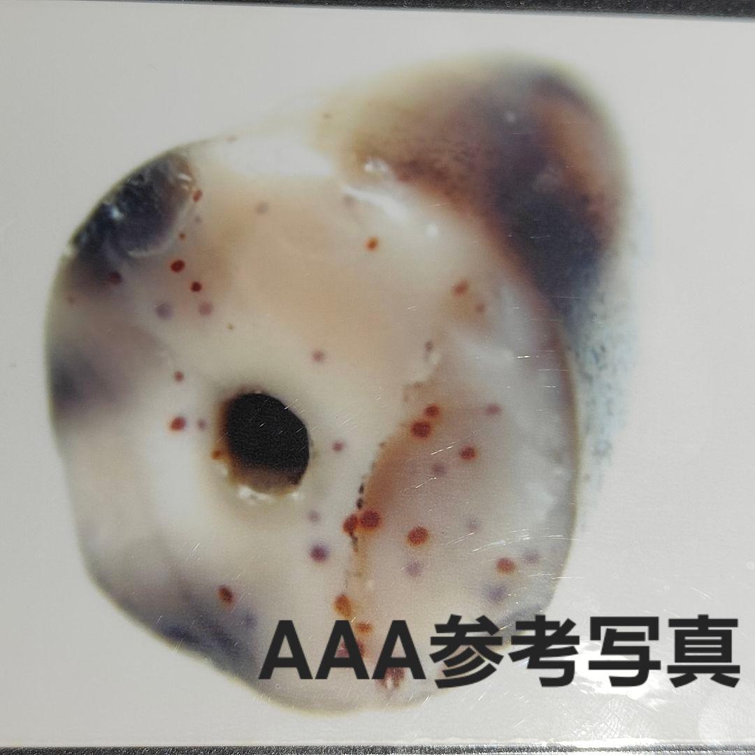 1 老礦天珠　二眼天珠　天珠　天然石　風水　御守り　ブレスレット　ネックレス