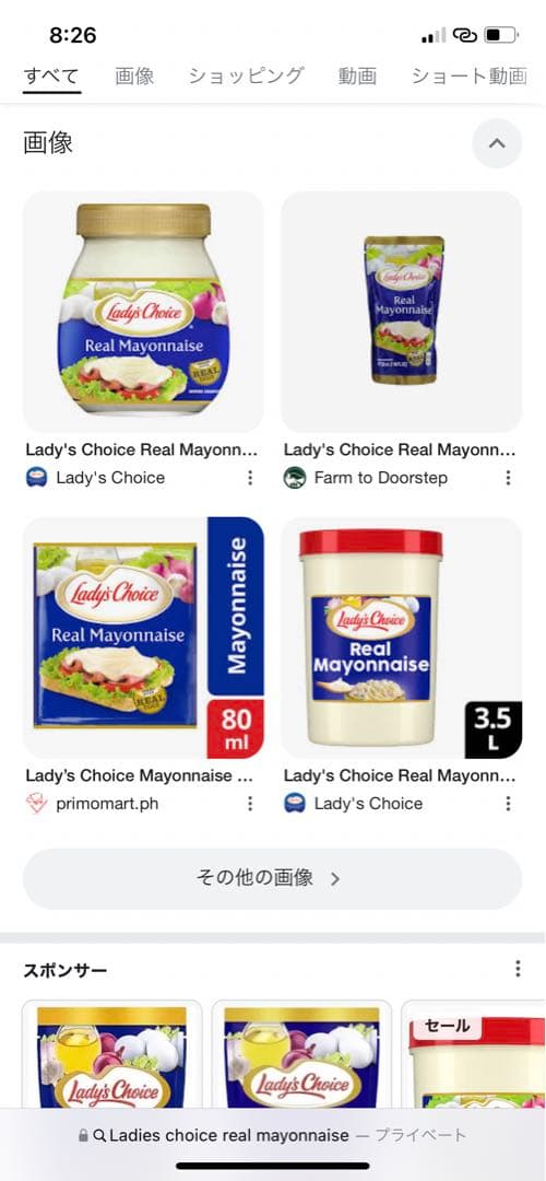 アメリカ✖️ジャパンさま専用