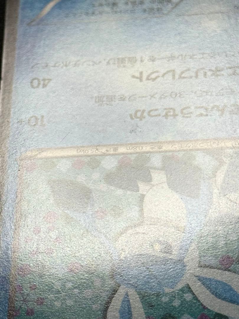 ★ポケモンカード グレイシア 185/BW-P プロモ コレクションファイル★