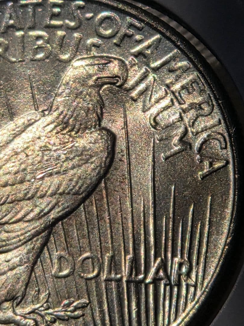 アメリカ合衆国　ピースダラー(1ドル)銀貨　1925