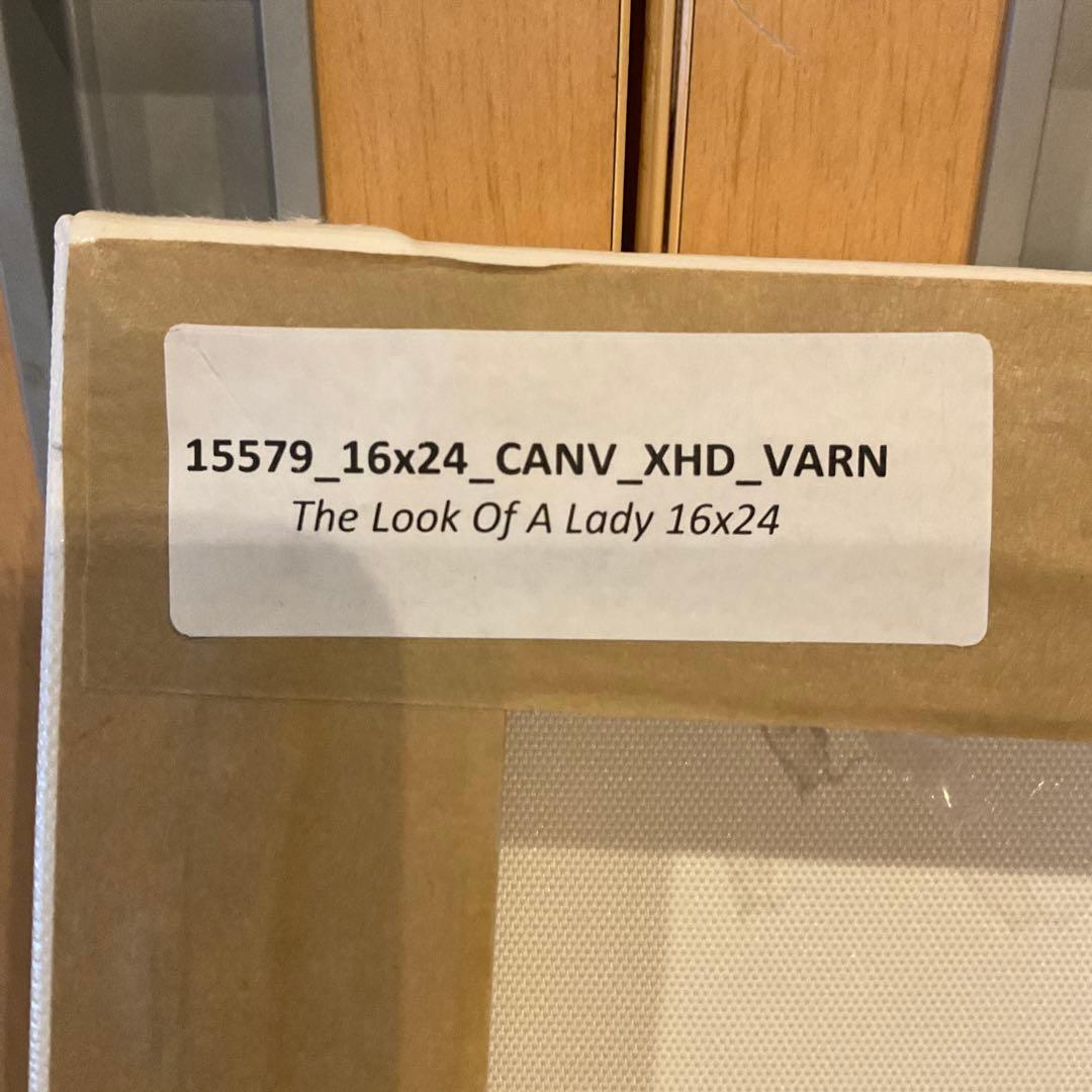 Oliver Gal オリバーガル　オードリーヘップバーン　キャンバス アート