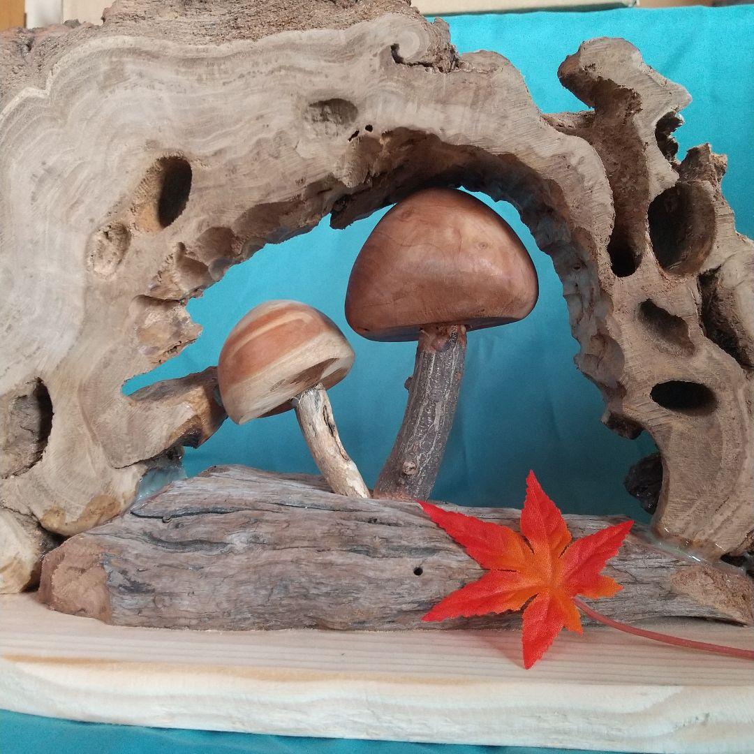 no646 親子キノコの住む家