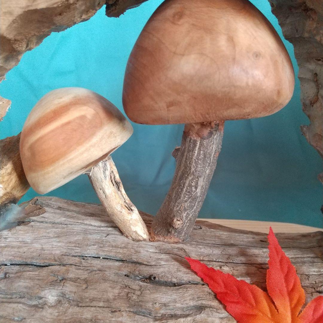 no646 親子キノコの住む家