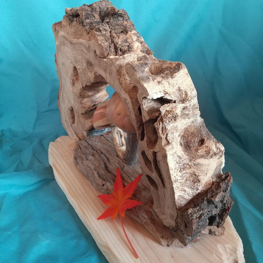 no646 親子キノコの住む家