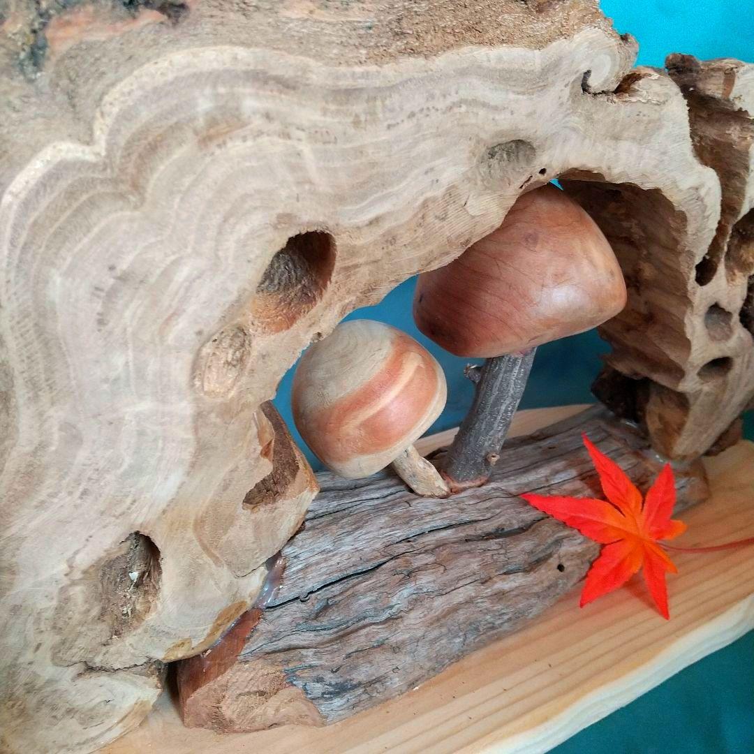 no646 親子キノコの住む家