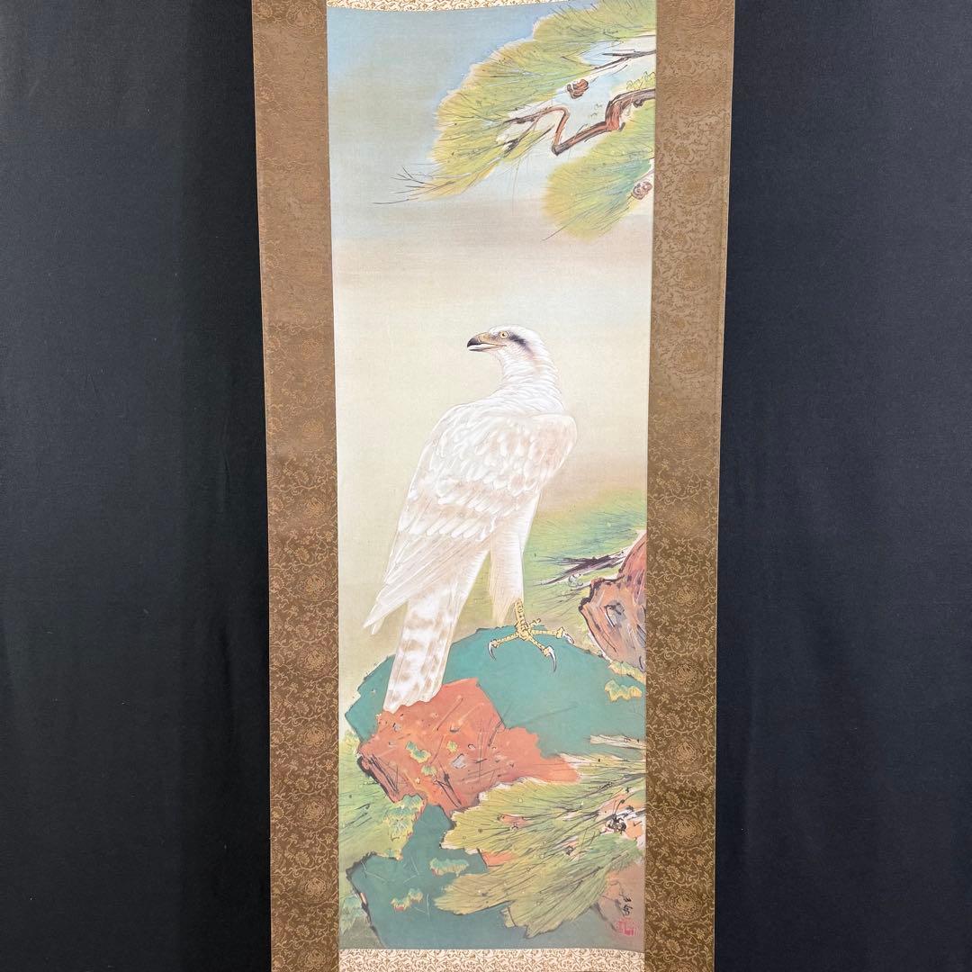 K124 橋本関雪 「霊鷹」 掛軸 日本画 工芸印刷 共箱