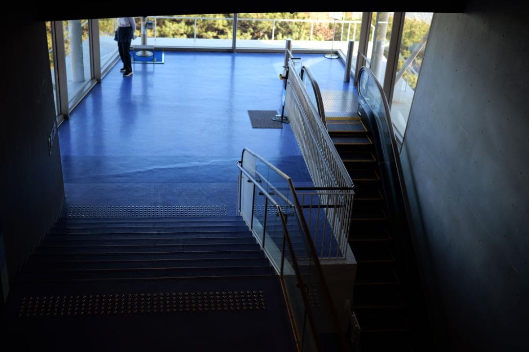 美品　LUMIX S 50mm F1.8 Lマウント