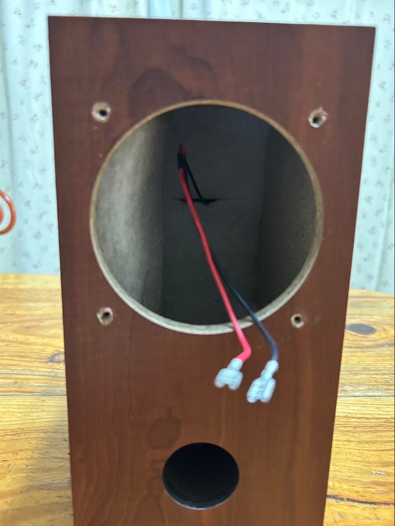 自作スピーカーFostex P1000-E・MarkAudio CHN70