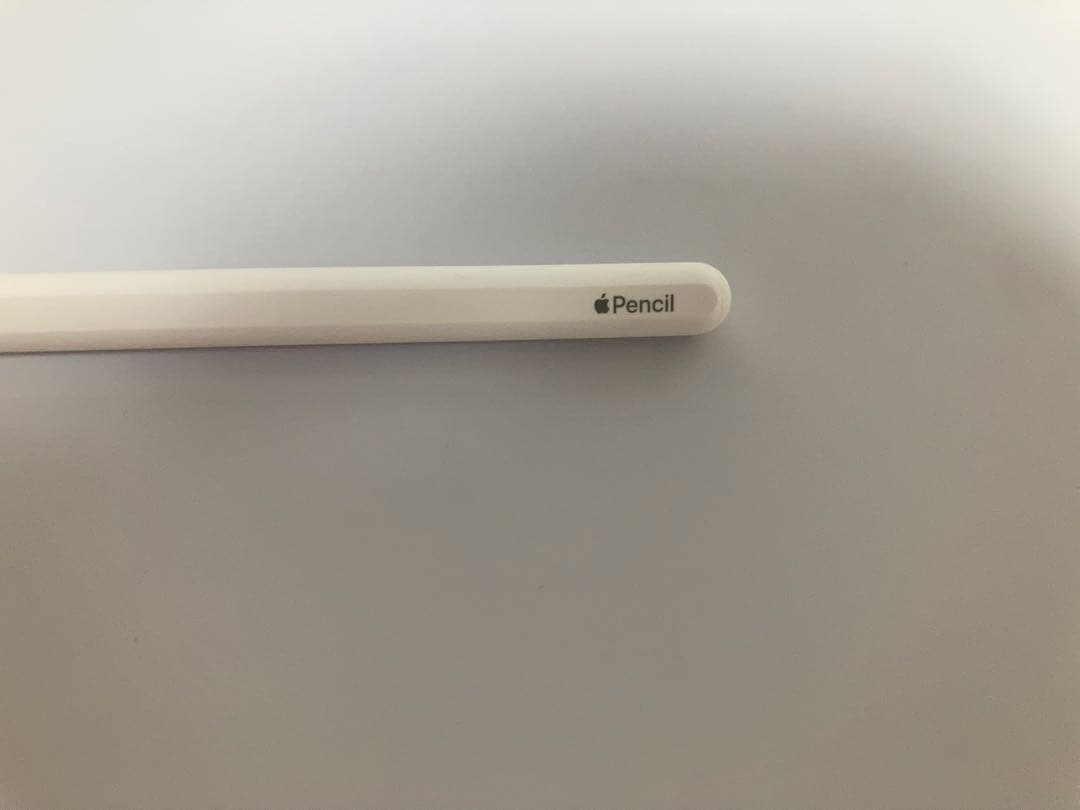 値下げ/Apple Pencil (第2世代) ホワイト /ケース付き 2種類