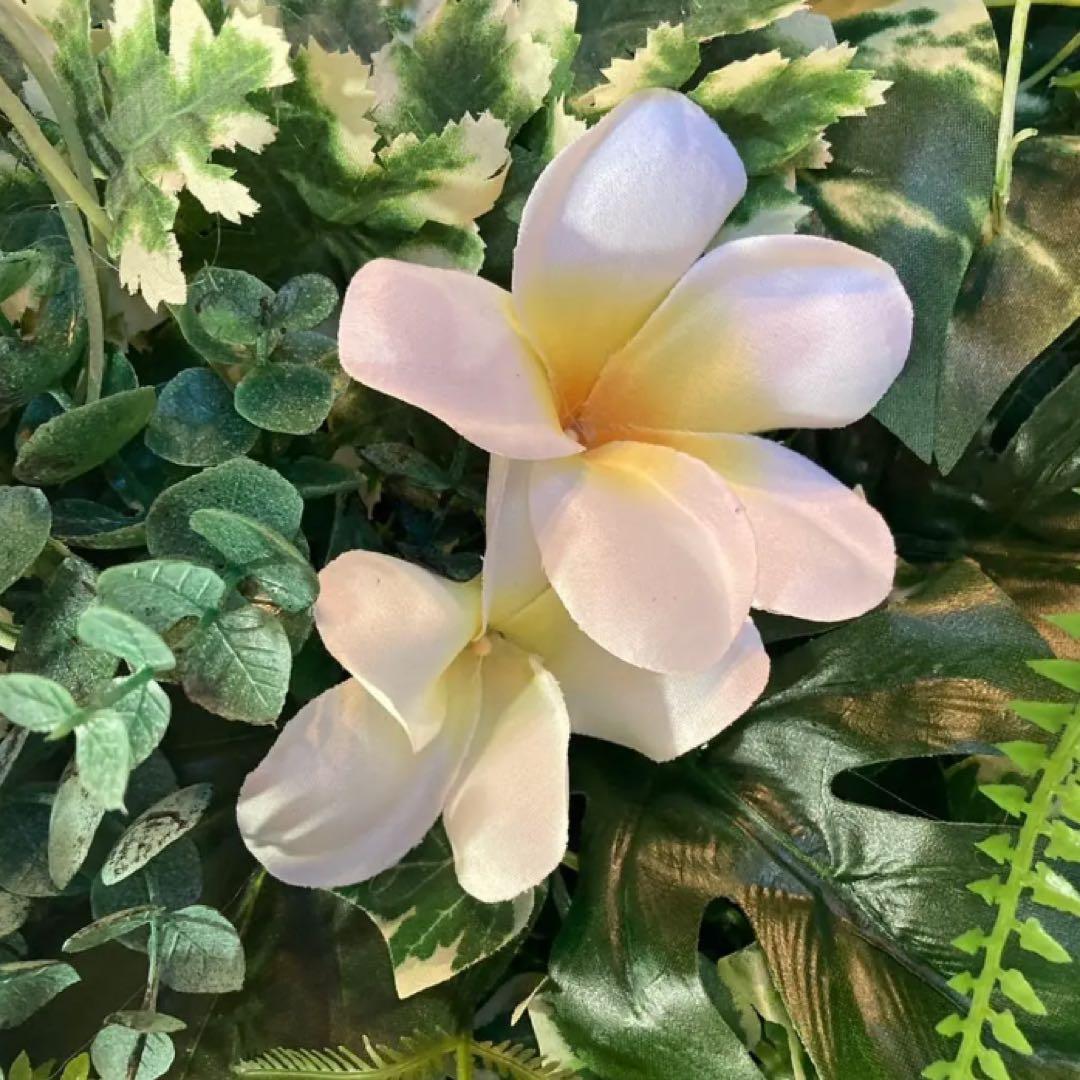 光触媒　人工観葉植物　ウォールグリーン　フェイクグリーン　壁掛け303040