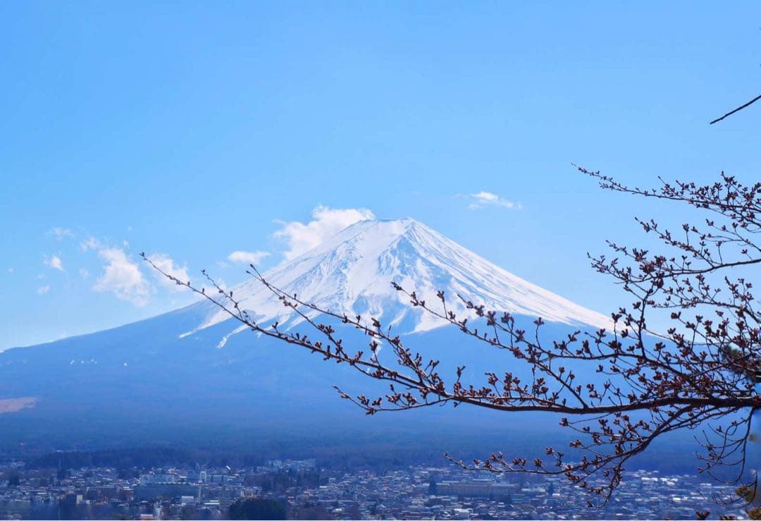 ディオールDiorお箸　お箸セット　ディオール非売品　ボンチャーお箸　箱　訳あり