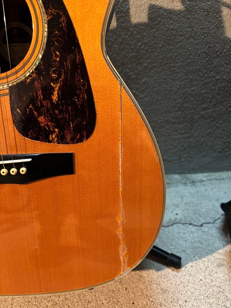 モーリスMORRISアコギMF-603訳アリセミハードケースセット