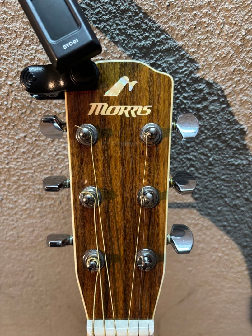 モーリスMORRISアコギMF-603訳アリセミハードケースセット