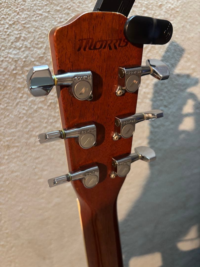 モーリスMORRISアコギMF-603訳アリセミハードケースセット