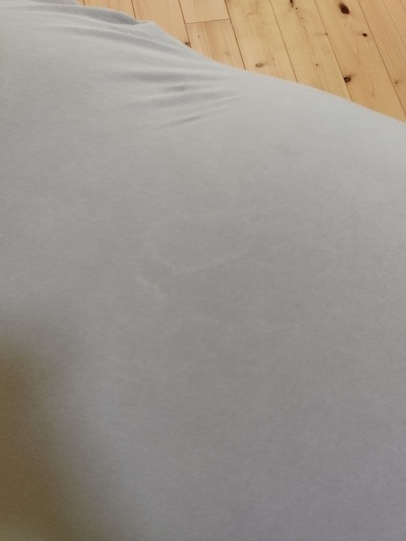 Yogibo MAX　直渡し