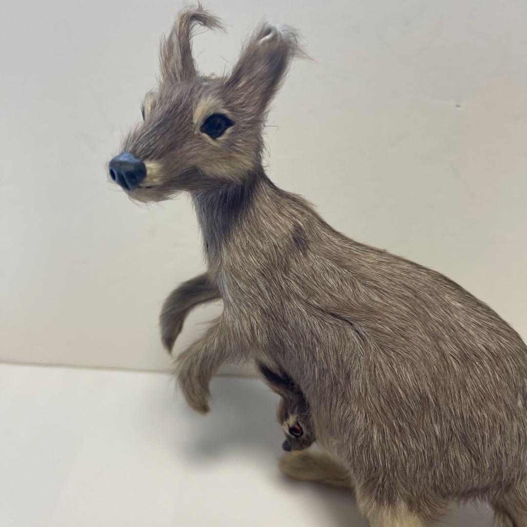 超リアル　カンガルー お腹の袋に子供　繊細な工芸品 全長16㎝　高さ18㎝